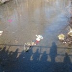 phoca_thumb_m_maena 61 Fotogalerie